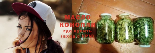 индика Сосновоборск