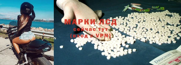 гидропоника Алзамай