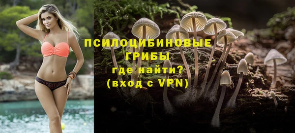 a pvp Алексеевка